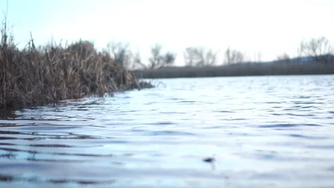 Autumn river framework in profile Stock Footage 121106230
