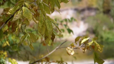Autumn River Landscape Stock-Footage 293185094