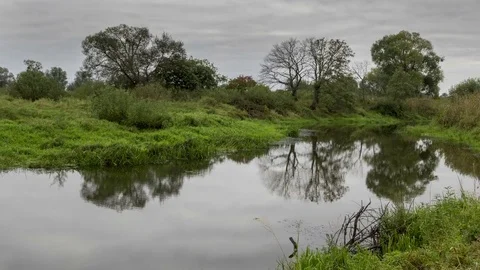 Autumn river landscape, time-lapse 4K Stock Footage