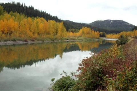 Autumn on River 스톡 사진