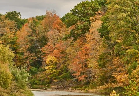 Autumn river 库存照片