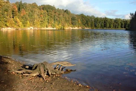 Autumn on the river Stock Photos