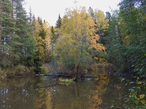Autumn river Stock Photos