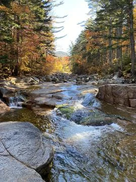 Autumn River Stock Photos