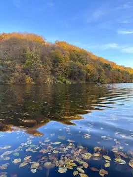 Autumn River Reflection Stock Photos