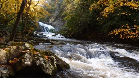 Autumn River Scene Stockbeeldmateriaal 119490615