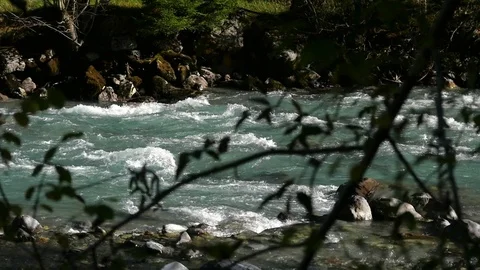 Autumn river, Slow motion view of a turqouise mountain river, behind a tree o Stock Footage 83070946