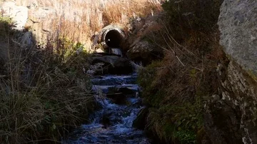 Autumn river, slow motion view of a small river, in a autumn color landscape, Stock Footage 86043765
