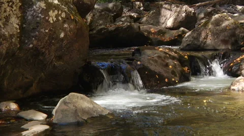 Autumn on the River Tracking Shot 스톡 동영상 1020305