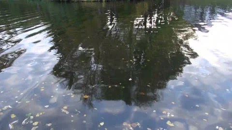 Autumn river with tree reflections background Stock-Footage 26901830