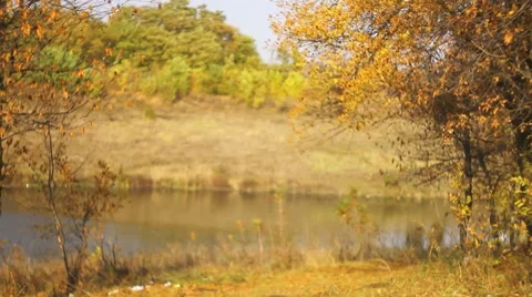 Autumn river (vertical panorama) Stock Footage 10559393