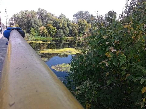 Autumn river view from the bridge Stock Photos