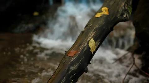 Autumn River waterfall Stock Footage 34055124