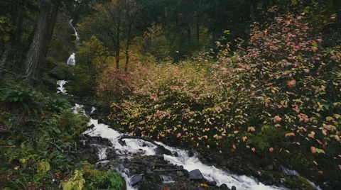 Autumn River Waterfall Stock Footage 56840189