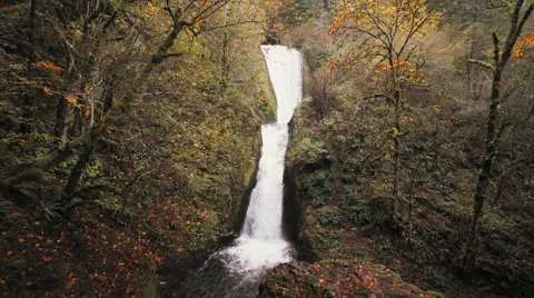 Autumn River Waterfall Stock Footage 56840247