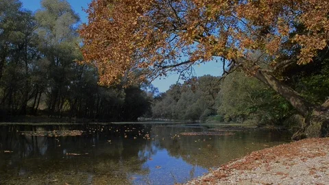 Autumn on the river while the leaves fall Stock Footage 100111515