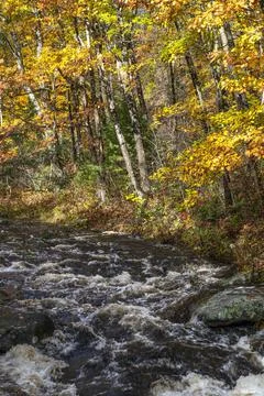 Autumn at the rivers edge 스톡 사진