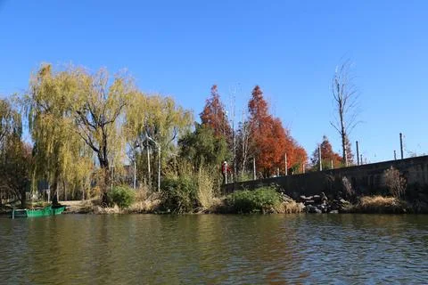 Autumn riverside view with willow, red-leaf trees, and bare branches Stock-Fotos
