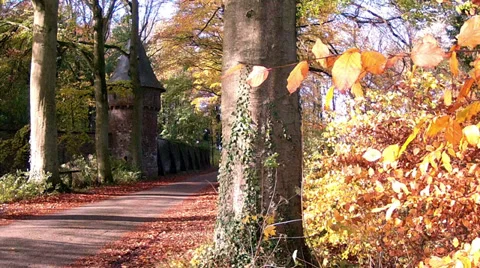 Autumn road  in Abbaye de Maredsous. Stock Footage 35168043
