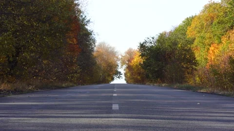 Autumn road covered with trees on both sides Stock Footage 141307395