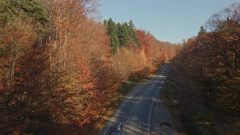 Autumn road. Fall in mountains. Stock Footage 165159789