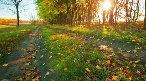Autumn road Stock Footage 12412695