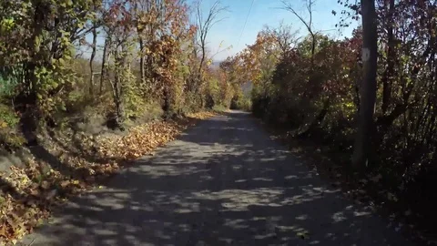 Autumn road Stock Footage 82044252
