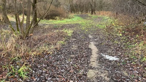 Autumn road Stock Footage 120009599