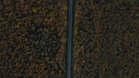 Autumn road Stock Footage 290044183