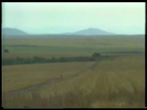 Autumn Road Stock Footage 344381316
