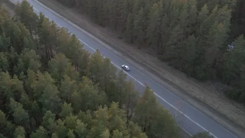 Autumn road in the middle of the forest Stockbeeldmateriaal 221142774