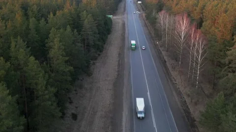 Autumn road in the middle of the forest Video stock 221232937