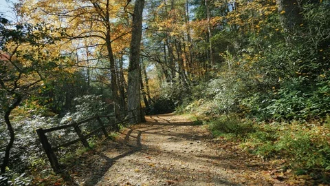 Autumn Road Path and Rustic Wooden Fence at Linville Falls Stock Footage 101145378