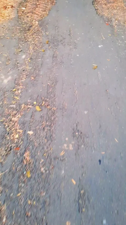Autumn road perspective walking forward fallen leaves scattered on asphalt .. Stock Footage 329616204