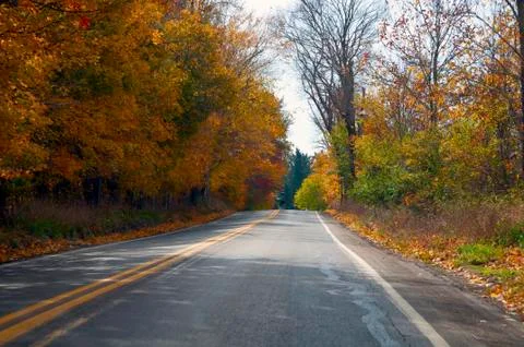 Autumn road Stock Photos