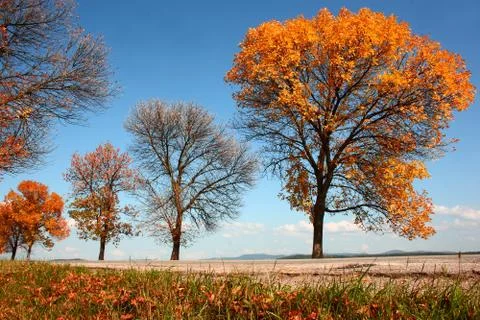 Autumn road Stock Photos