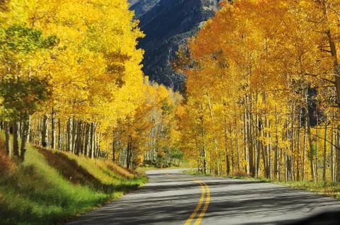 Autumn road Stock Photos