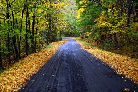 Autumn road Stock Photos