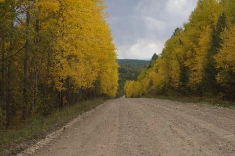 Autumn road Stock Photos