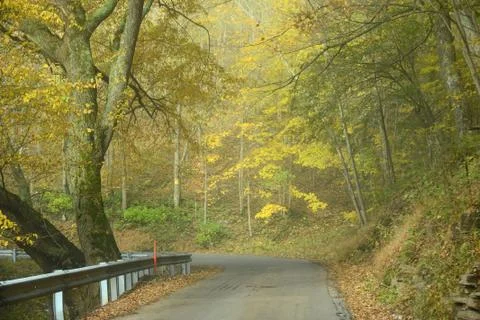 Autumn road Stock Photos