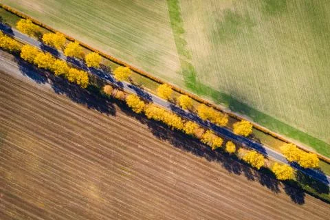 Autumn road Stock Photos