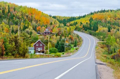 Autumn road Stock Photos