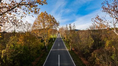 Autumn road Stock Photos