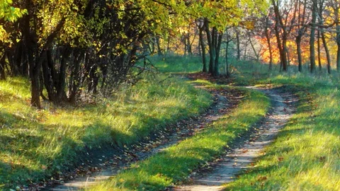 Autumn road. sun rays of sunset. Stock Footage 120187866