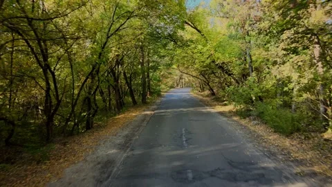 Autumn road with suns rays. Stock Footage 163088669