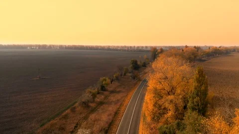 Autumn Road at Sunset Stock Footage 97568182