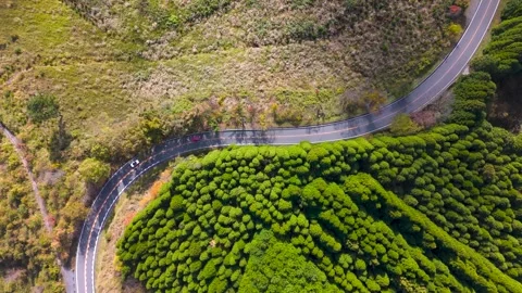 Autumn Road Trip Through Mountain Forests – Drone Aerial View Stock Footage 336975268