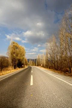 Autumn Road Under Dramatic Sky Stock Photos