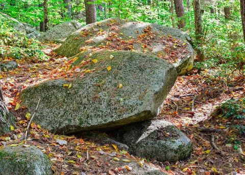 Autumn on the rocks Stock Photos