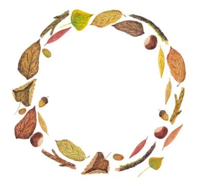 Autumn round frame of the elements of the autumn forest 스톡 일러스트